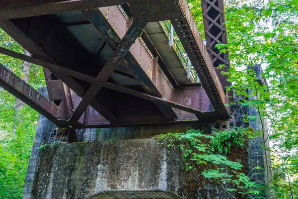 Cedro River Trail Bridge 4 — Foto de Stock