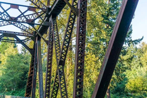 Cedar River Trail Bridge Detalles 2 — Foto de Stock