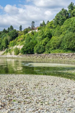 Washington Park Shoreline6 7