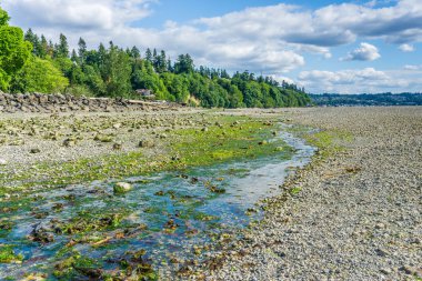 Washington Park Shoreline6 Ve Stream