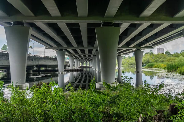 Arboreto sotto l'autostrada 2 — Foto Stock