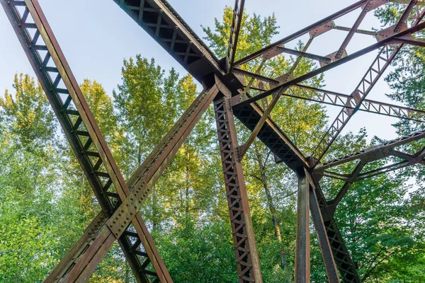 Pont du sentier de la rivière Cedar Détails S _ 3 — Photo