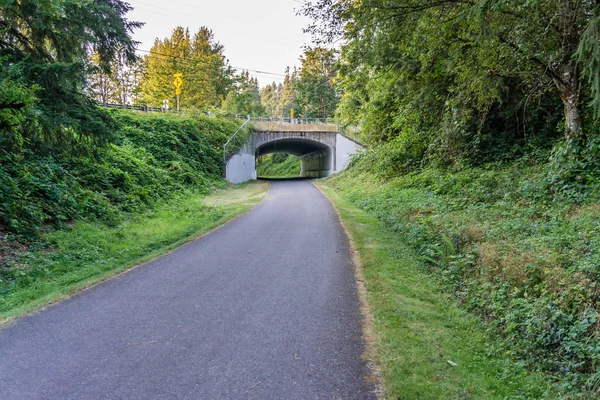 Tunel Szlakowy Cedar River 2 — Zdjęcie stockowe