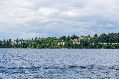 Renton Lakeside Evleri 5