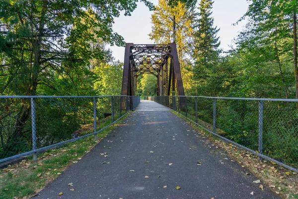 Most Szlakowy Cedar River 5 — Zdjęcie stockowe