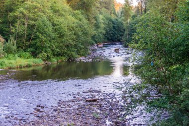Yaz aylarında Sedir Nehri 3