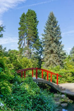 Kırmızı Yürüyüş Köprüsü 5