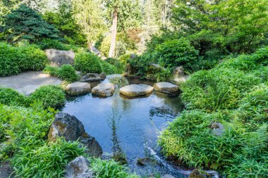 Gölet Boyunca Kaya Adımları
