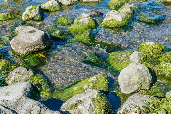 划线点海岸线岩石 — 图库照片