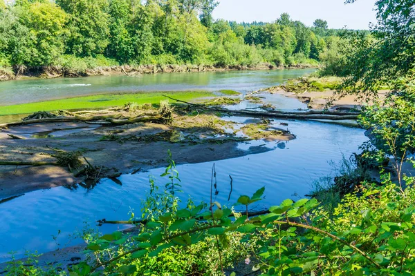 Naturnahe Flusslandschaft — Stockfoto