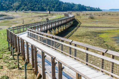 Nisqually Sulak Çamur Daireler ve Boardwalk 3