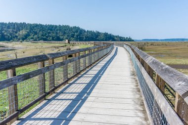 Nisqually Sulak Çamur Daireler Ve Boardwalk 6