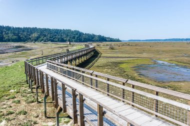 Nisqually Sulak Çamur Flats Ve Boardwalk 2
