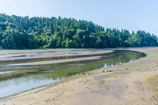 Nisqually Sulak Nehir