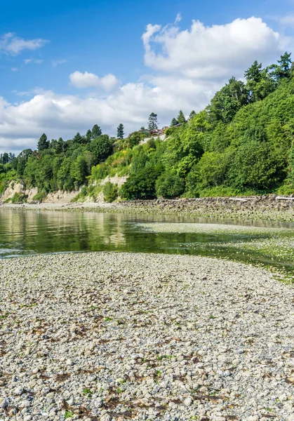 Washington Park Shoreline 5