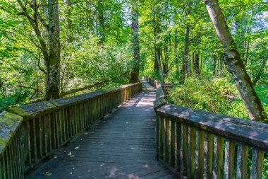 Nisqually Sulak Alanlar Boardwalk 4