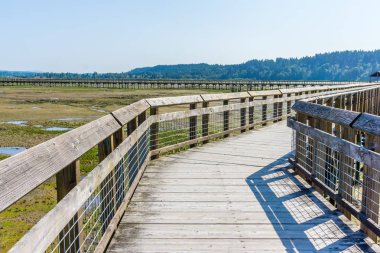 Nisqually Sulak Alanlar Boardwalk 6