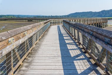Nisqually Sulak Alanlar Boardwalk 9