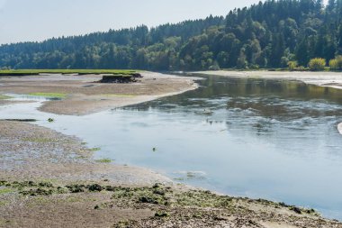 Nisqually Sulak Nehir 2