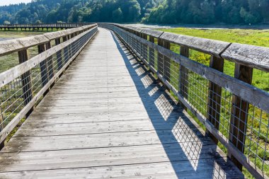 Nisqually Sulak Alanlar Boardwalk 12
