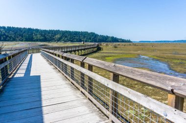 Nisqually Sulak Çamur Daireler Ve Boardwalk 4