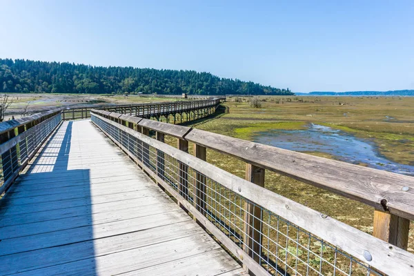 Nisqually Sulak Çamur Daireler Ve Boardwalk 4