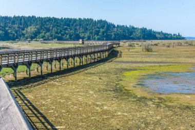 Nisqually Sulak Çamur Flats Ve Boardwalk 5