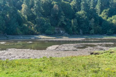 Nisqually Sulak Nehir 4