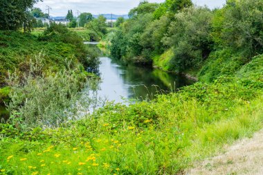 Yaz Aylarında Nehir 2