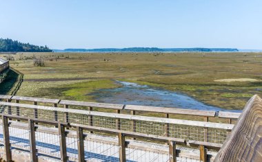 Nisqually Sulak Çamur Flats Ve Boardwalk