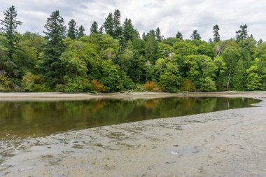 Ellis Koyu Manzara 3