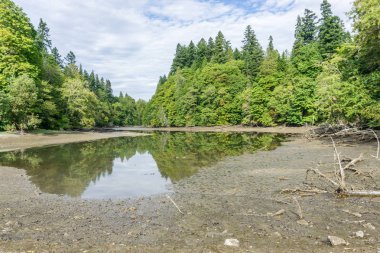 Ellis Koyu Manzara 6