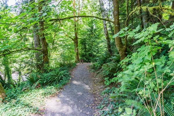 Kněžna Point Park stopa 2 — Stock fotografie