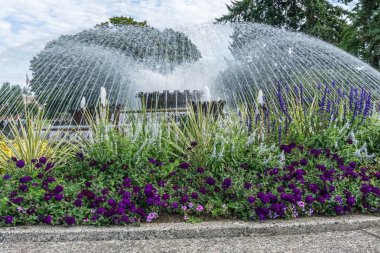 Majestic Fountain Yakın plan 3