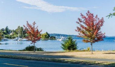 Washington Gölü Yürüyüş Yolu 3