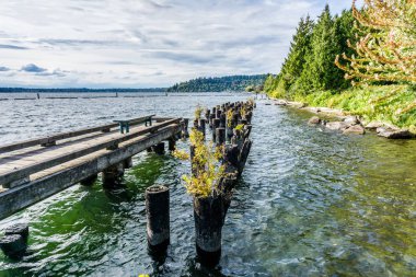Renton _ Park _ Lake _ Shoreline _ 7