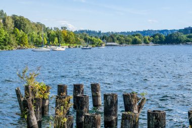 Renton _ Park _ Lake _ Shoreline _ 6