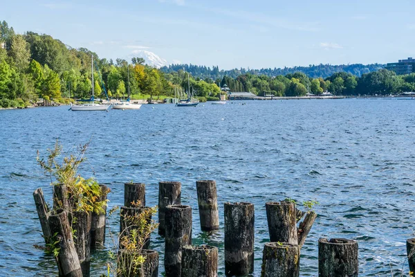 Renton _ Park _ Lake _ Shoreline _ 6 — Foto de Stock