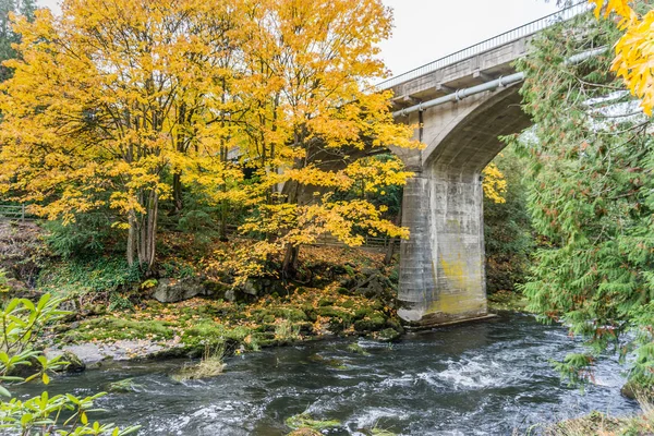 Tumwater Falls Park Bridge 2 — Foto Stock