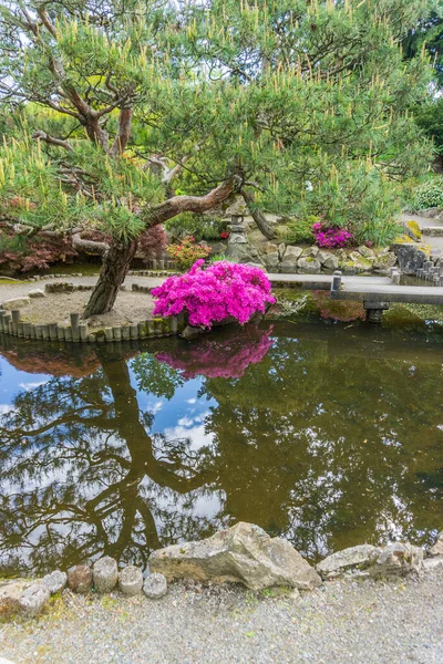 Flores Três São Refletidas Uma Lagoa Jardim Japonês Seatac Washington — Fotografia de Stock