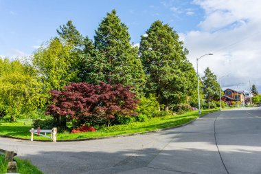 Batı Seattle, Washington 'da bir şehir parkına giriş..