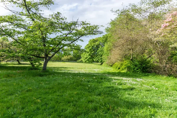 Uma Vista Parque Cidade West Seattle Washington — Fotografia de Stock