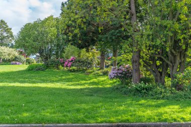 Batı Seattle, Washington 'da çiçekli bir şehir parkı..