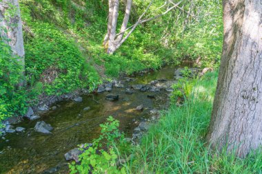 Des Moines, Washington 'da akan bir dere manzarası.