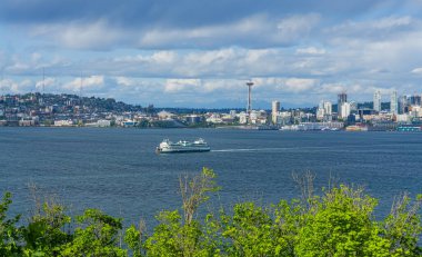Çimenli bir tepenin manzarası ve Seattle silueti Batı Seattle, Washington 'dan.