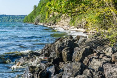 Des Moines, Washington yakınlarındaki Rocky kıyı şeridi.