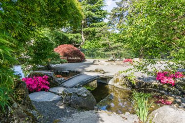 Seatac, Washington 'da bir bahçede uyanan bir köprü..