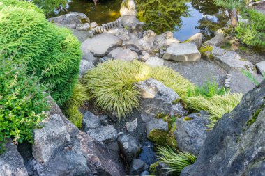 Seatac, Washington 'da bir bahçede kayalar ve bitkiler.