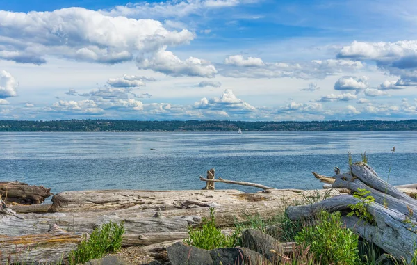 Washington Daki Vashon Adası Ndan Batı Seattle Manzarası — Stok fotoğraf