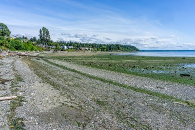 Puget Sound 'un suyu Normandy Park, Washington' da düşüktür..